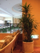 ドナセナマッセン